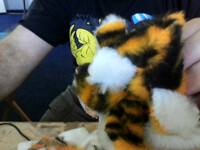Tiger Bear In The Works