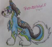 Fursona1 ReinboWulf