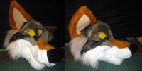 Coyote work in progress
