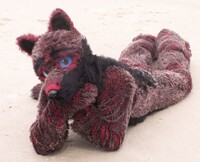 Jax Furs Picnic 2012 - Gray fur posing on the beach