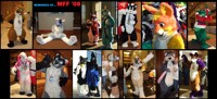 Memories of Midwest Furfest 2008