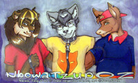 Joined Badges - Nbowa, Tzup & Oz