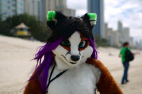 Vixen Fursuit 2012