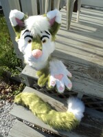 'Wasabi' cat auction