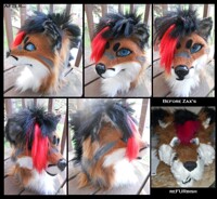 Ultimate Makeover: Fursuit Edition