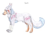 Soul Mutt Bodyshot~