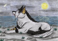 Looking backward to wonderful times