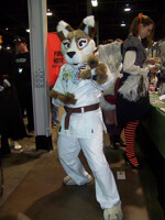 Old Karate Dog fursuit 2008