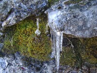 Stone, soil, moss, and ice.