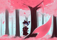 Admiring cherry blossoms