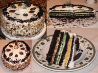 Allon's Technicolor Dream Cake