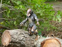 gonna have some fun tonight. 