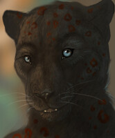 Speed paint by vaermina