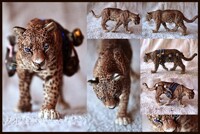 Treasure Seeker Ashkii