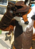 Howdy 