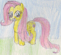 Fluttershy