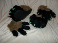 Toony fox paw set
