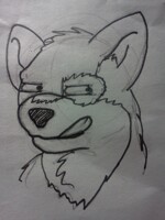 Sess demanded a midnight doodle 