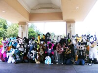 RCFM 2012 - Fursuiting groupshot!
