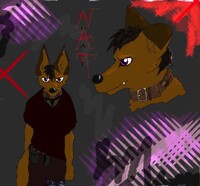 Nat (Nathaniel) The Jackal
