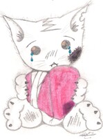 cat crying