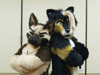 You don't mess with the Gsheps!