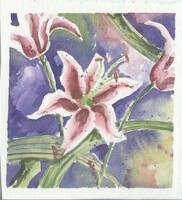 lily flowers - watercolor