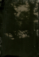 brownie double exposure