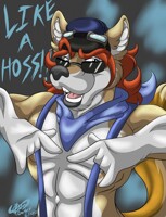 LIKE A HOSS!!!