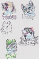 AC BADGES!~