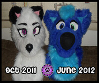 Fursuit Head Compairison