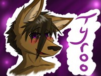 AC badge Tyroo
