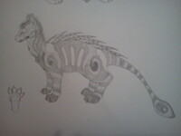 new Everglades cat design