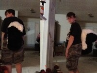 Cassy Tail