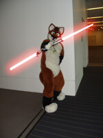 werefox with a double lightsaber [AC 2012] 