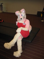 Pink Skunkette