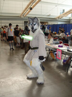 [AC 2012] Jedi strider 