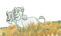 Fields of Gold
