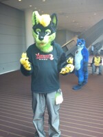 Stattik the Husky