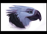 Possible color