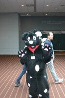 [Photo] 2012 Anthrocon - Sunday 36