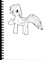 Rainbow Dash 01