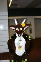 [Photo] 2012 Anthrocon - Sunday 43