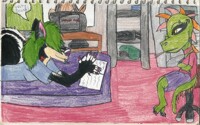 ibriod and billy have sleep over mission