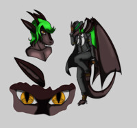 Commission for drakenwolf 003