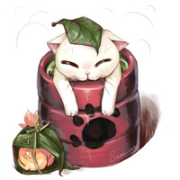 Tea&cat