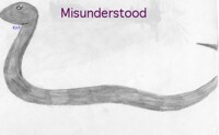Misunderstood