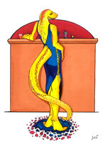 Bar Salamander (old)