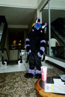 Anthrocon 2012 #141