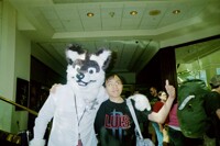 CrazyFox With RNCoyote